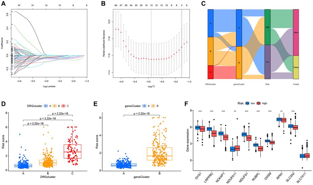 Construction of the prognostic DRG risk scoring model. (A, B) LASSO regression analysis. (C) Sankey diagram showing the relationship between different molecular subtypes, genetic subtypes, risk scores, and survival outcomes. (D, E) Respective risk scores of different molecular subtypes and genetic subtypes. (F) Box plot displaying the analysis of differences in DRGs expression between the high and low-risk groups.