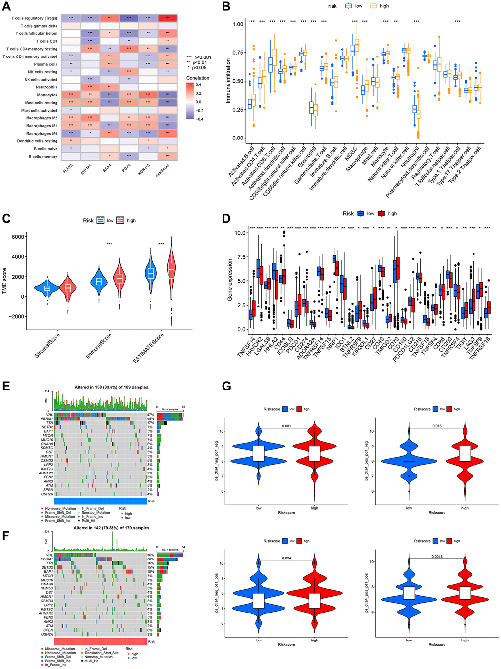 Relationship between DRG risk scoring model and immune cell, immune checkpoints, somatic mutations, TMB, and immunotherapy. (A) The association between risk scoring genes, risk score, and immune cells. (B) Differences in immune cell infiltration between high and low-risk groups. (C) TME scores for high and low-risk groups. (D) The expression of immune checkpoint genes in the high-risk and low-risk groups. (E, F) Frequency of somatic mutations in high and low-risk groups. (G) IPS results from the TCIA database for high and low-risk groups. P 