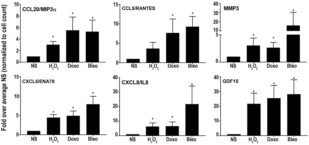 Levels of secreted SASP candidates in the conditioned media of senescent or non-senescent fibroblast lines from at least 6 subjects. All analytes were normalized to the cell count obtained during conditioned media collection and fold changes were calculated over respective NS group. Data are represented as Mean ± SEM (*p 