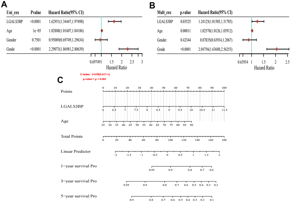 Forest plot and nomogram construction. (A) Forest plot of the association between risk factors and overall survival (OS) in TCGA-KIRC patients. (B) Prediction model of nomogram construction. (C) Constructing the clinicopathological characteristics model of the Norman diagram. p 