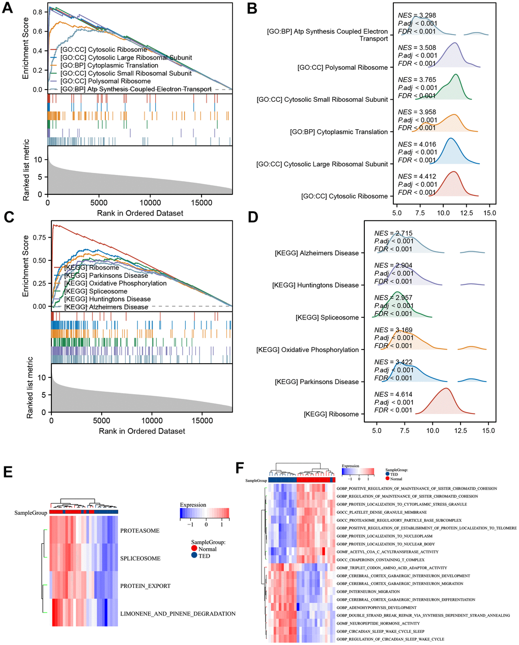 GSEA and GSVA. (A) GSEA-GO of DEGs; (B) ridge plot of top 6 GSEA-GO; (C) GSEA-KEGG of DEGs; (D) ridge plot of top 6 GSEA-KEGG; (E) heatmap of functional scores of GSVA-KEGG; (F) heatmap of functional scores of GSVA-GO. *P P P 