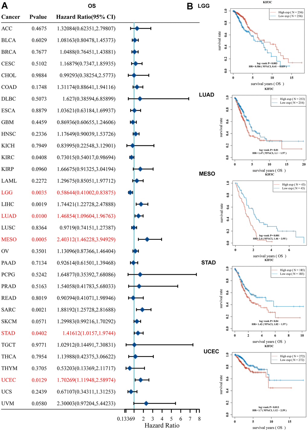 Correlation between KIF3C expression and survival prognosis. (A) Forest plot of OS correlation in TCGA. (B) Kaplan-Meier analysis of the correlation between KIF3C and OS. (C) Forest plot of DSS correlation in TCGA. (D) Kaplan-Meier analysis of the correlation between KIF3C and DSS. (E) Forest plot of PFS correlation in TCGA. (F) Kaplan-Meier analysis of the correlation between KIF3C and PFS.