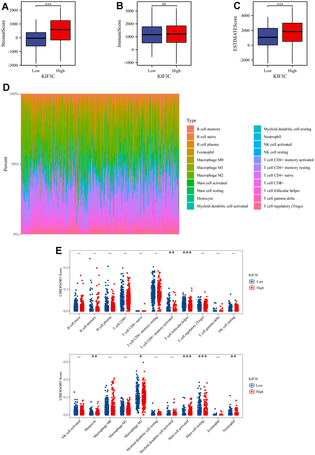 ESTIMATE scores distribution and TIICs analysis by CIBERSORT. (A–C) Distribution of ISs, SSs, and ESs between KIF3C high- and low-expression groups. (D) A bar chart showing the difference in the proportion of 22 TIICs in the TME of STAD. (E) A boxplot comparing the proportion of the 22 TIICs in the TME of STAD between the high- and low-expression groups (* p 