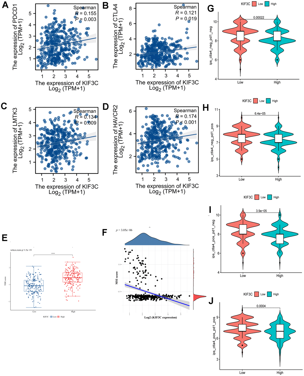 Correlation analysis of KIF3C to the immune checkpoint, TIDE score, MSI and IPS. (A) PD-1, (B) CTLA4, (C) LMTK3, (D) HAVCR2. (E) TIDE score between KIF3C high- and low-expression expression groups. (F) MSI Score. (G) The IPS, (H) IPS-PD-1/PD-L1/PD-L2, (I) IPS-CTLA4, and (J) IPS-PD-1/PD-L1/PD-L2 + CTLA4.
