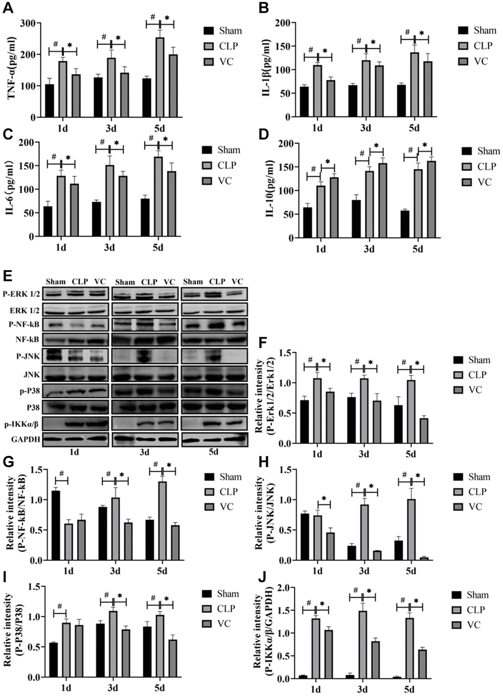 High-dose VC attenuated the inflammatory response in CLP-induced sepsis rats at 1d, 3d and 5d. (A–D) The serum inflammatory cytokines (i.e., TNF-α, IL-1β, IL-6, and IL-10) in serum were measured by ELISA. (E–J) Representative images of phosphorylation levels of P38, Erk1/2, JNK, NF-κB and IKK α/β were examined by western blot and the fold activation data analysis. Data are expressed as mean ± SD (at least n = 6/group), #p *p 
