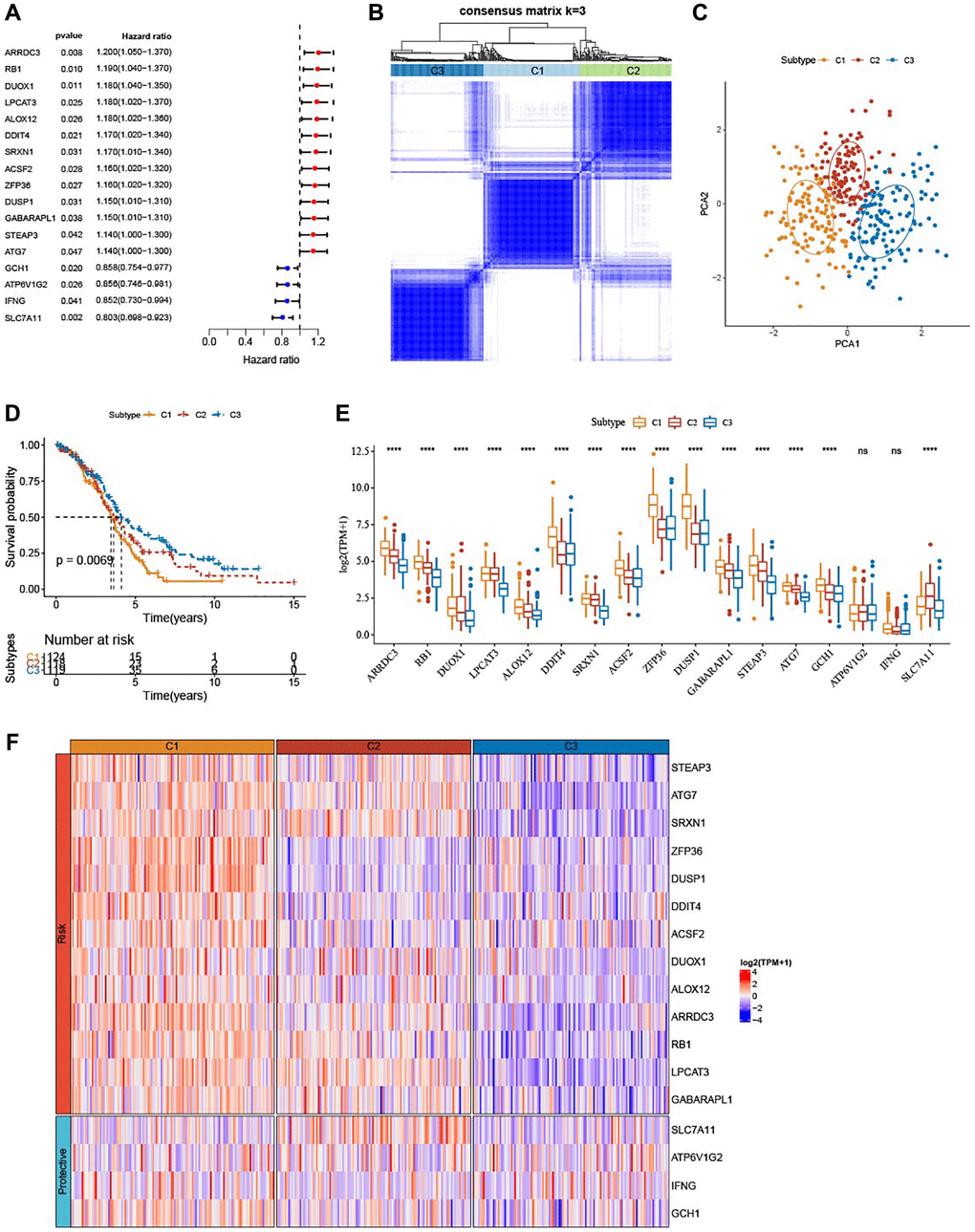 Identification of three ferroptosis-based subtypes. (A) Forest plots for a total of 17 ferroptosis-related genes in TCGA-OV cohort analyzed by univariate Cox regression study. (B) Three clusters (k = 3) were classified by consensus matrix heatmap defining. (C) The three subtypes showed distinct separation, shown by PCA analysis. (D) The three subtypes in TCGA-OV cohort were plotted for Kaplan-Meier curves. (E) Alterations of 17 genes related to ferroptosis in TCGA-OV cohort. (F) Heatmap portrayed the distributions of the genes related to ferroptosis among three subtypes. nsP > 0.05; ****P 