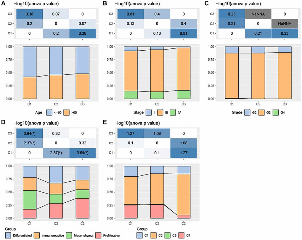 Association of clinicopathologic characteristics among ferroptosis-based subtypes in TCGA-OV cohort. (A–C) Distributions of age, Stage and Grade among the three subtypes. (D) Distributions of differenced, immunoreactive, mesenchymal, and proliferative subtypes among the three subtypes. (E) Alterations of immune subtypes of C1, C2, C3, and C4 in the three subtypes.