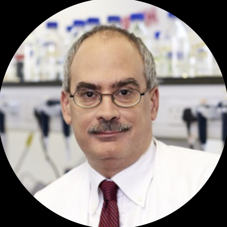 Michael Lisanti