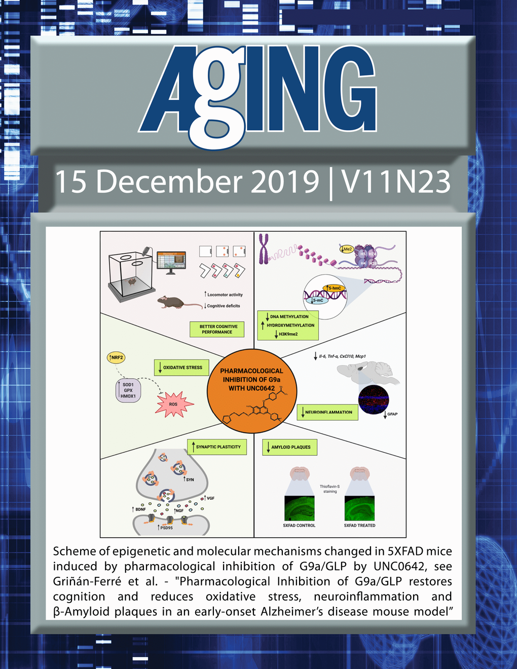 The cover features Figure 7 "Scheme of epigenetic and molecular mechanisms changed in 5XFAD mice induced by pharmacological inhibition of G9a/GLP by UNC0642 “ from Griñán-Ferré et al.