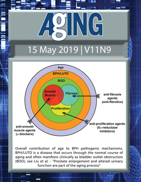 The cover features Figure 8 "Overall contribution of age to BPH pathogenic mechanisms. BPH/LUTD is a disease that occurs through the normal course of aging and often manifests clinically as bladder outlet obstruction (BOO)." from Liu et al.