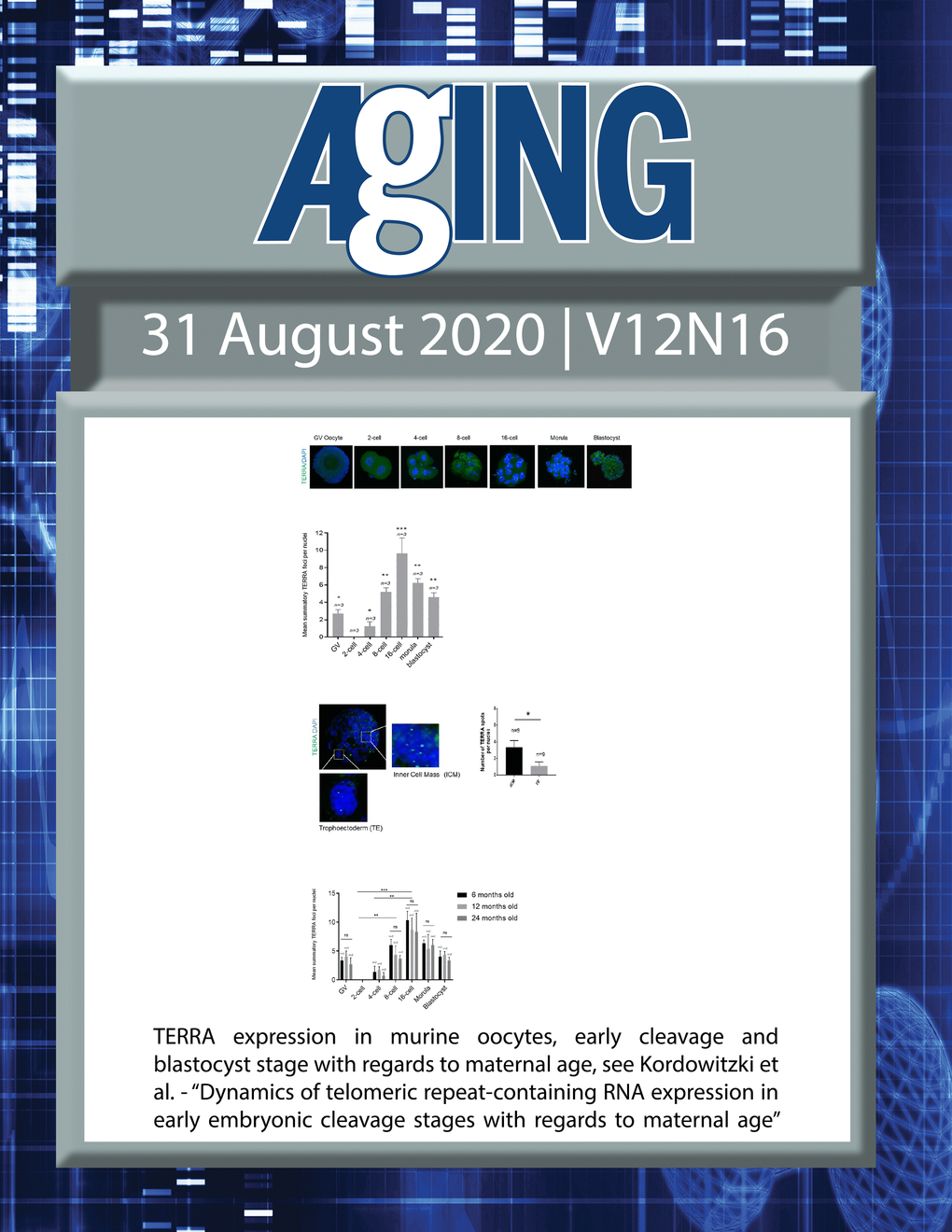 The cover features Figure 2 "TERRA expression in murine oocytes, early cleavage and blastocyst stage with regards to maternal age“ from Kordowitzki et al.