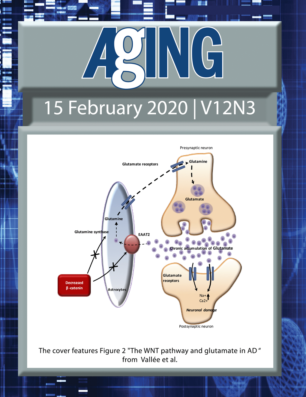 The cover features Figure 2 "The WNT pathway and glutamate in AD “ from Vallée et al.