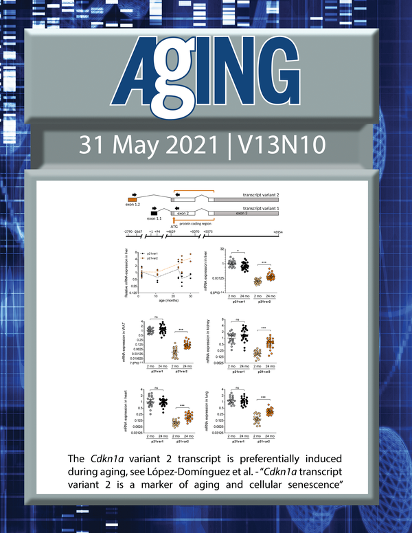 The cover features Figure 1 "The Cdkn1a variant 2 transcript is preferentially induced during aging“ from López-Domínguez et al.