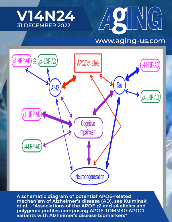 The cover features Figure 1 "A schematic diagram of potential APOE-related mechanism of Alzheimer’s disease (AD), from Kulminski et al.