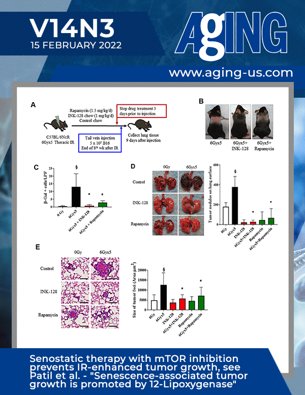 The cover features Figure 3 "Senostatic therapy with mTOR inhibition prevents IR-enhanced tumor growth"  from Patil et al.