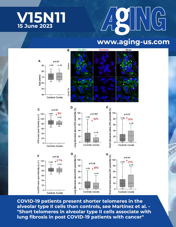 The cover features Figure 2 "COVID-19 patients present shorter telomeres in the alveolar type II cells than controls" from&nbsp;Martínez et al.