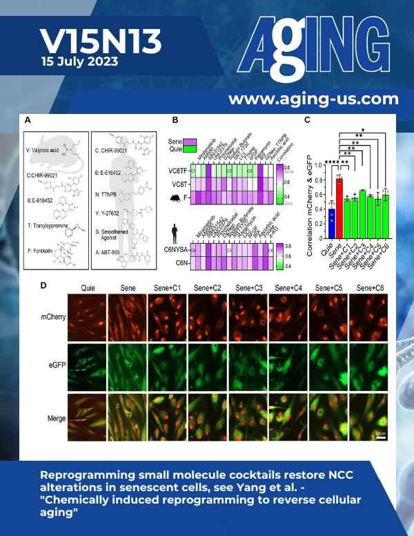 The cover features Figure 3 "Reprogramming small molecule cocktails restore NCC alterations in senescent cells" from Yang et al.