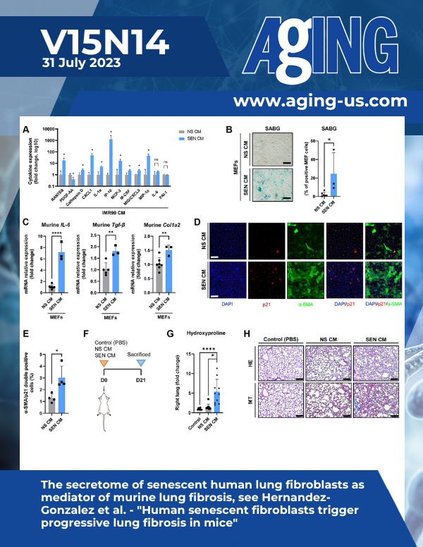 The cover features Figure 4 "The secretome of senescent human lung fibroblasts as mediator of murine lung fibrosis" from Hernandez-Gonzalez et al.