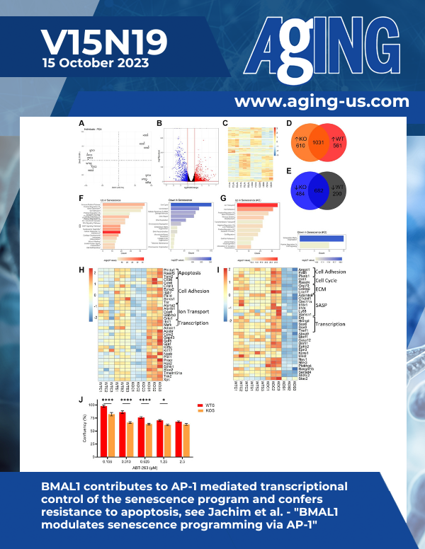 The cover features Figure 4 "BMAL1 contributes to AP-1 mediated transcriptional control of the senescence program and confers resistance to apoptosis" from&nbsp;Jachim et al.