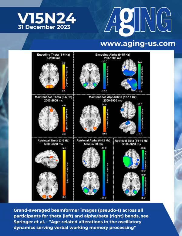 The cover features Figure 3 "Grand-averaged beamformer images (pseudo-t) across all participants for theta (left) and alpha/beta (right) bands" from Springer et al.